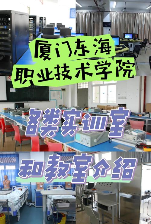 厦门职业教育高质量发展-第3张图片-指南针培训网