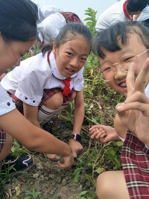 爱的课程手机在线播放哪里能看?-第3张图片-指南针培训网 爱的课程手机在线播放哪里能看?-第3张图片-指南针培训网