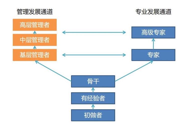 如何帮员工职业发展路径-第2张图片-指南针培训网 如何帮员工职业发展路径-第2张图片-指南针培训网