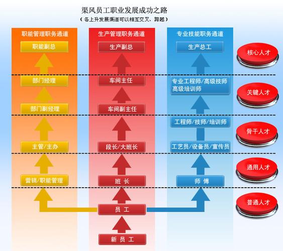 H型职业通道有何独特优势？-第3张图片-指南针培训网