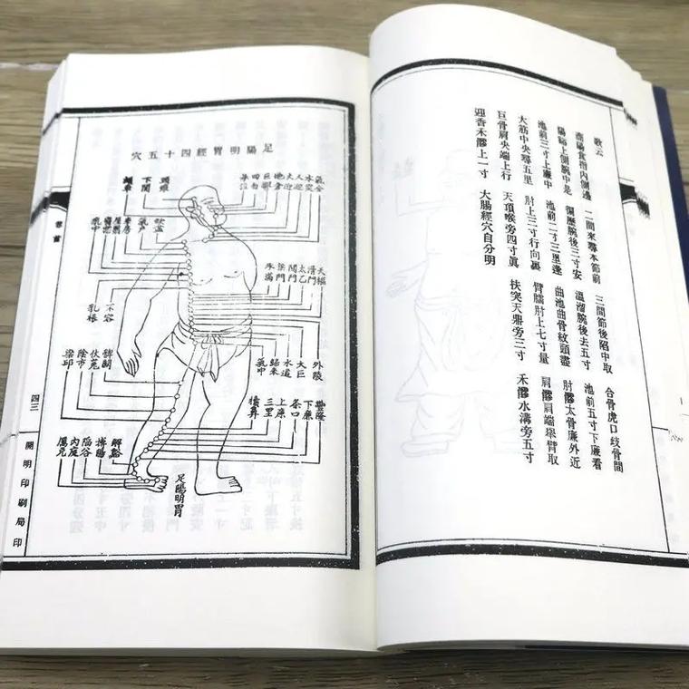 陈氏太极拳图说 自学-第1张图片-指南针培训网 陈氏太极拳图说 自学-第1张图片-指南针培训网