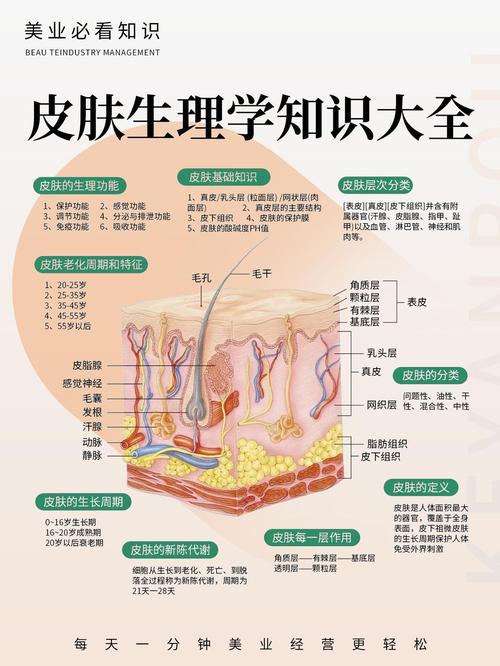皮肤美容课，学哪些基础才实用？-第1张图片-指南针培训网