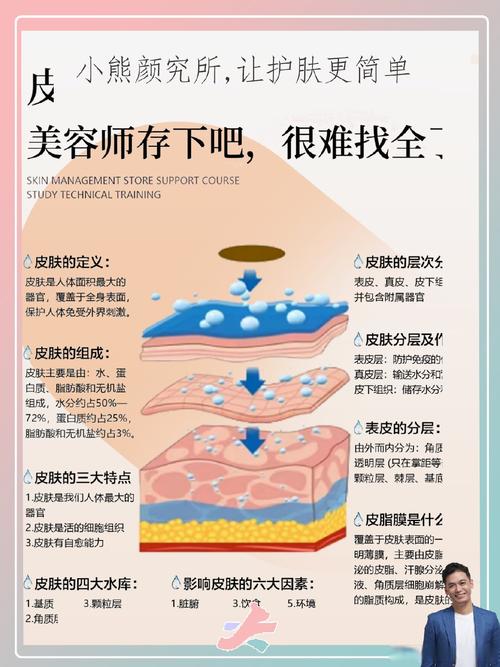 皮肤美容课，学哪些基础才实用？-第2张图片-指南针培训网