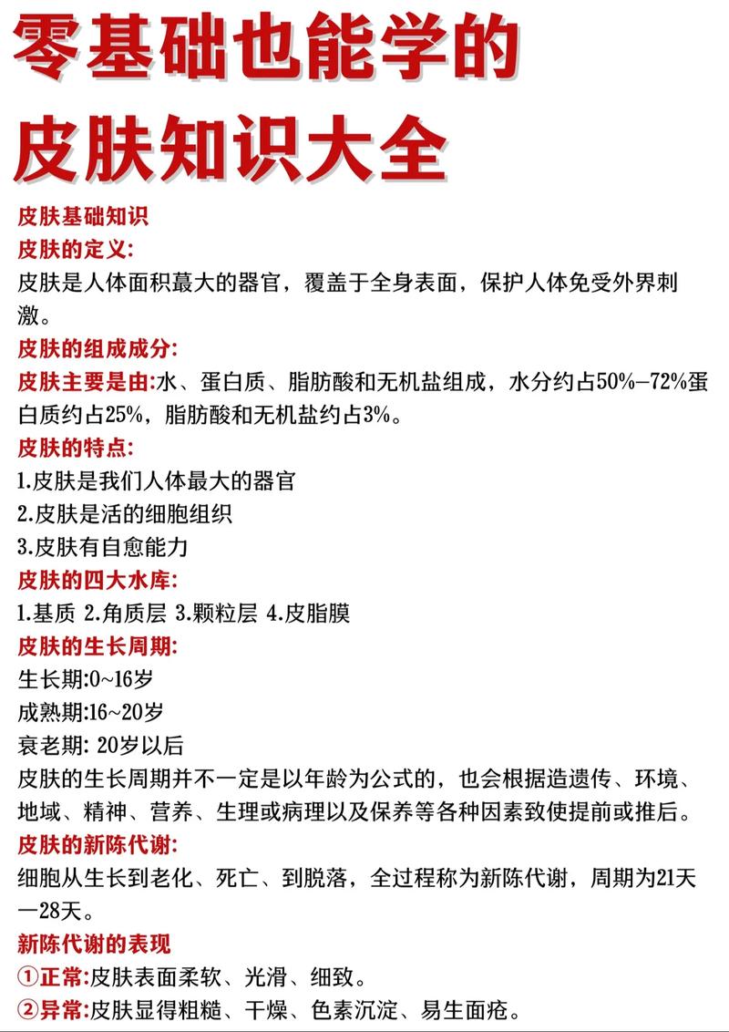 皮肤美容课，学哪些基础才实用？-第3张图片-指南针培训网