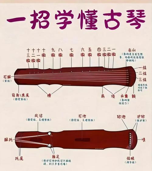 初学乐器，哪种最适合自学入门？-第3张图片-指南针培训网