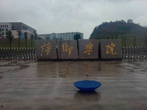 萍乡学院学前教育学院有何特色或优势？-第1张图片-指南针培训网