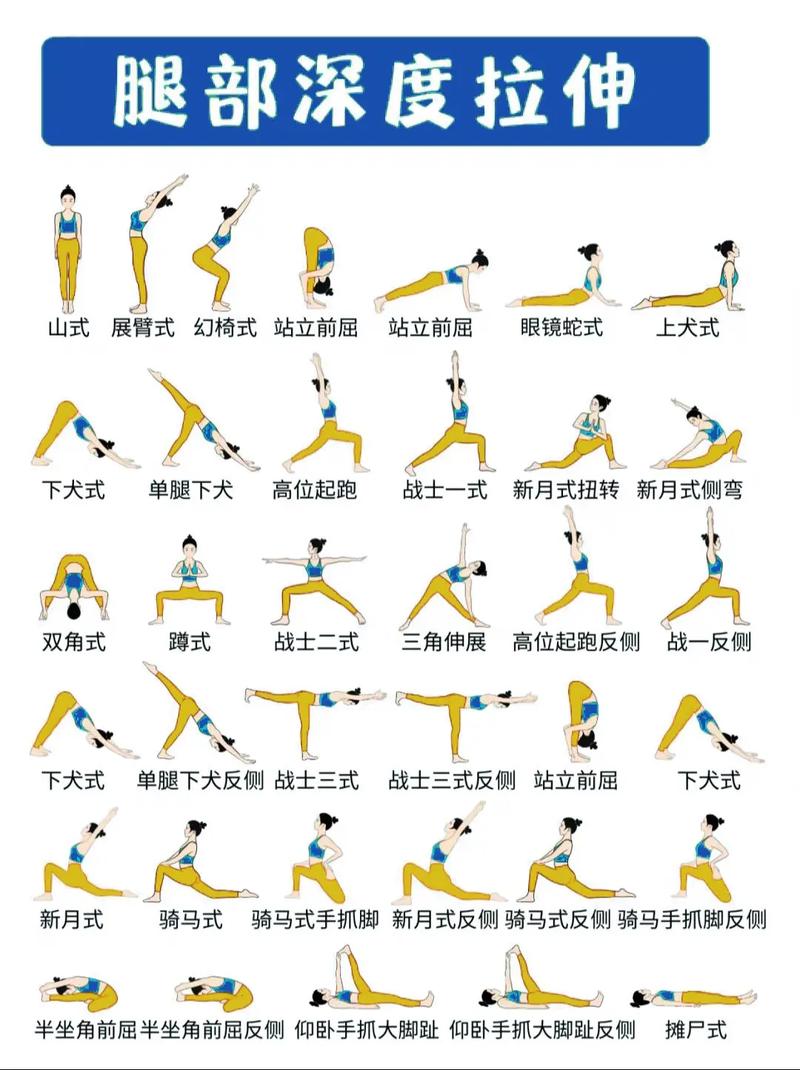 瑜伽精准正位课程流程是怎样的?-第3张图片-指南针培训网 瑜伽精准正位课程流程是怎样的?-第3张图片-指南针培训网