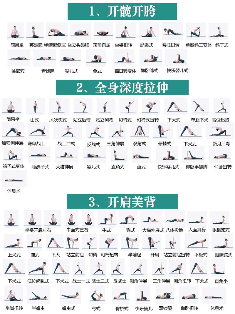 瑜伽精准正位课程流程是怎样的?-第2张图片-指南针培训网 瑜伽精准正位课程流程是怎样的?-第2张图片-指南针培训网