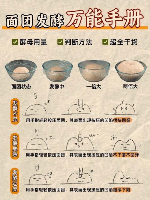 发酵食品制作课程讲义有何奥秘?-第3张图片-指南针培训网 发酵食品制作课程讲义有何奥秘?-第3张图片-指南针培训网