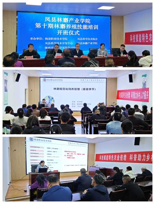 专职委员在线培训课程-第2张图片-指南针培训网