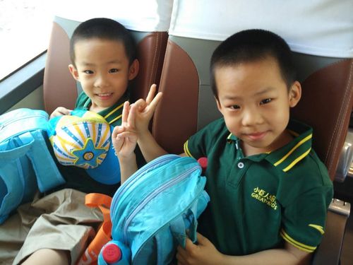 北京小巨人学前班电话是多少？-第2张图片-指南针培训网