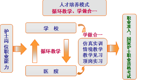 护理横向发展有哪些职业方向？-第2张图片-指南针培训网