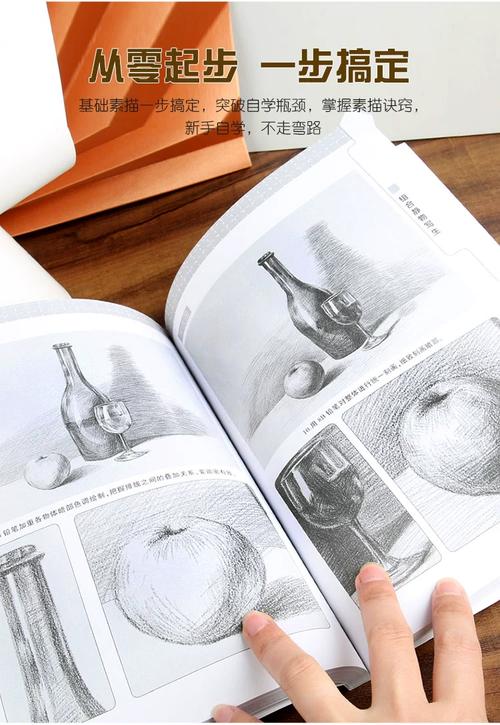 初学者自学素描选哪本书好？-第3张图片-指南针培训网