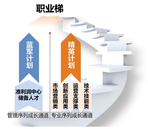 双通道职业发展是什么？-第3张图片-指南针培训网