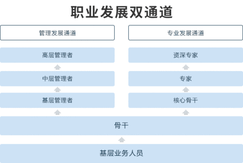双通道职业发展是什么？-第2张图片-指南针培训网