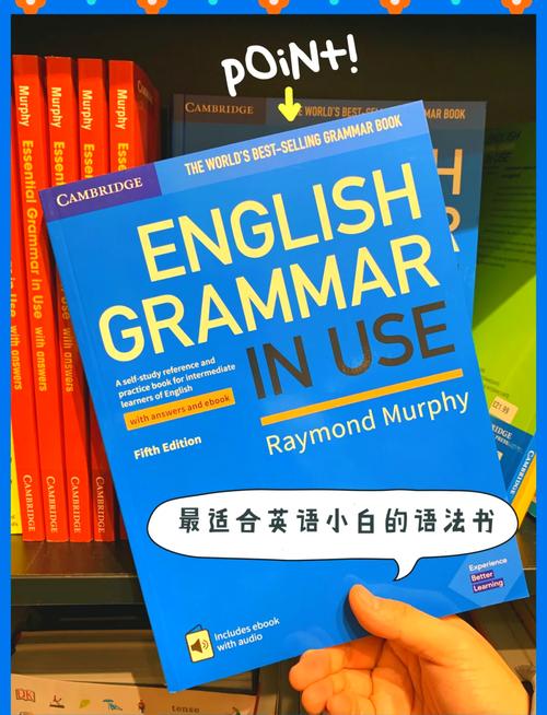 自学英语该选哪些书？-第2张图片-指南针培训网