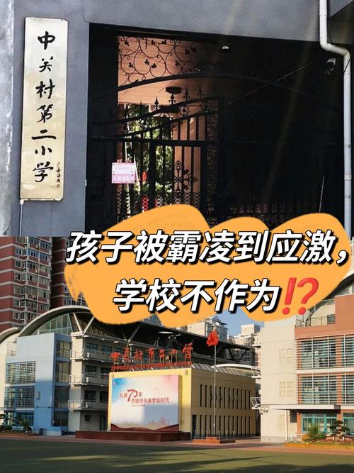 中关村二小附近学前班怎么选？-第2张图片-指南针培训网