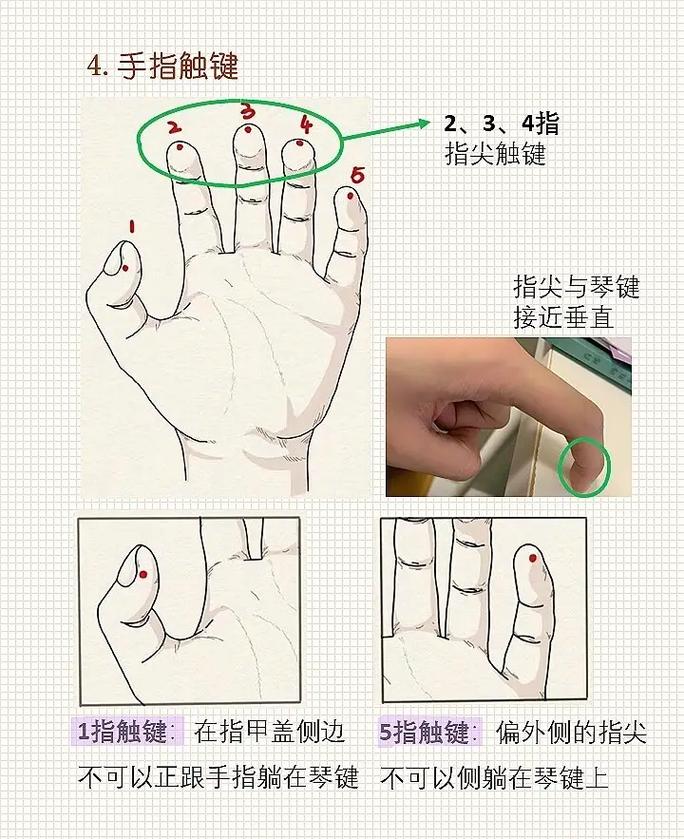 钢琴自学视频教程全集能学会吗？-第2张图片-指南针培训网