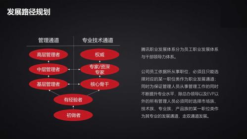 美容专业横向发展有哪些职业方向？-第2张图片-指南针培训网