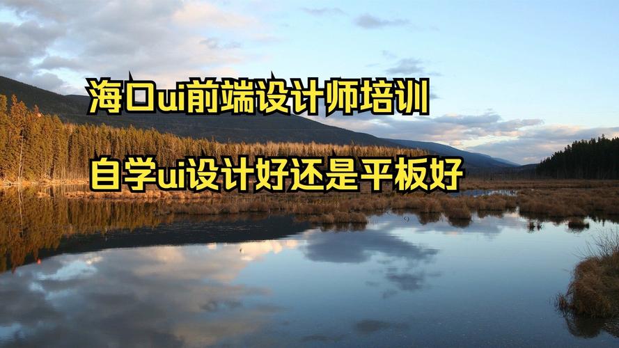 UI自学还是培训，到底该怎么选？-第2张图片-指南针培训网