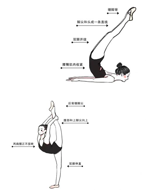 减肥舞蹈教学适合自学吗？-第2张图片-指南针培训网