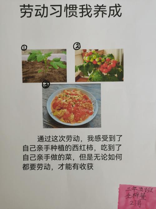 在家自学哪些技能最实用？-第2张图片-指南针培训网