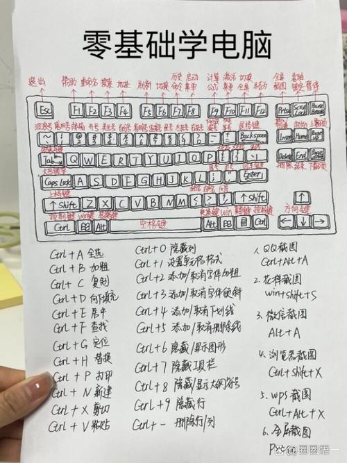 电脑编程入门自学资料怎么选？-第1张图片-指南针培训网