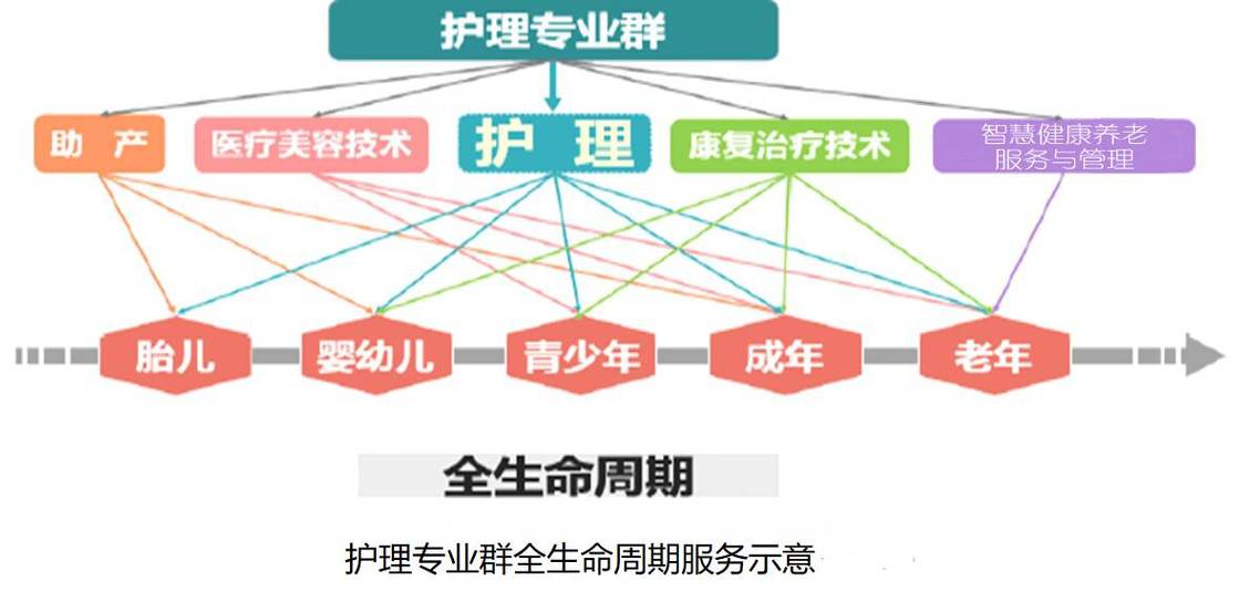 护理职业发展有哪些选择路径？-第2张图片-指南针培训网