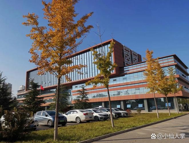 北大就业中心有何核心职能与最新动态？-第1张图片-指南针培训网