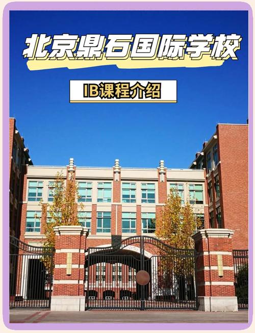 鼎石国际学校学前班有何特色？-第3张图片-指南针培训网