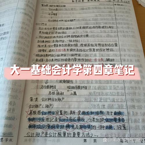 小会计如何自学成才？-第3张图片-指南针培训网