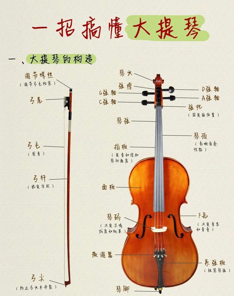 娜木拉大提琴自学教程真的能学会吗？-第1张图片-指南针培训网