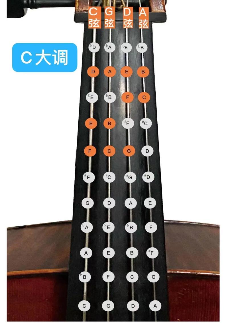 娜木拉大提琴自学教程真的能学会吗？-第2张图片-指南针培训网
