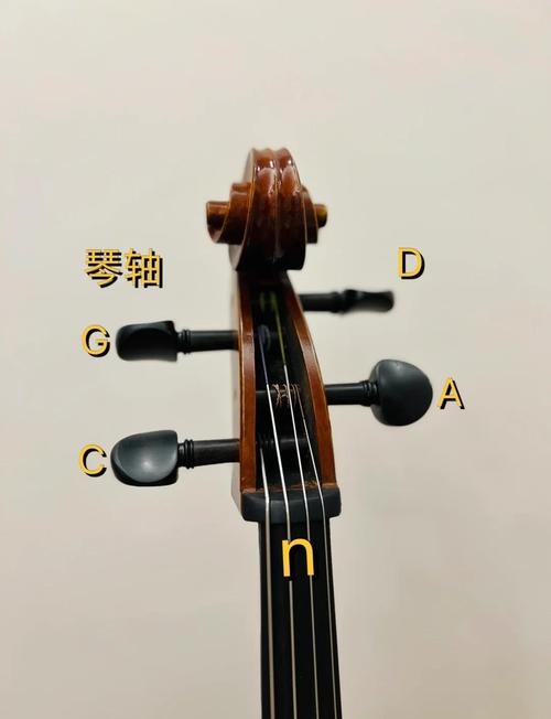 娜木拉大提琴自学教程真的能学会吗？-第3张图片-指南针培训网