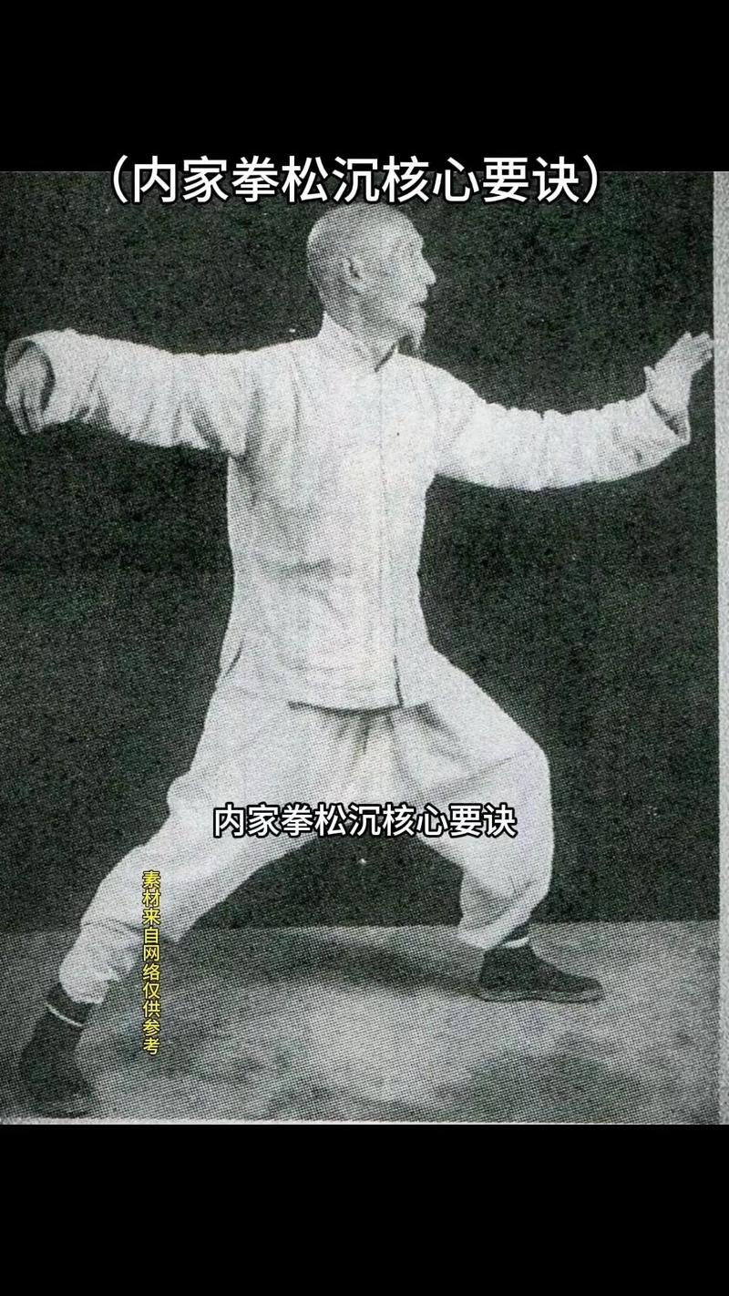 内家拳之入门自学教程-第1张图片-指南针培训网