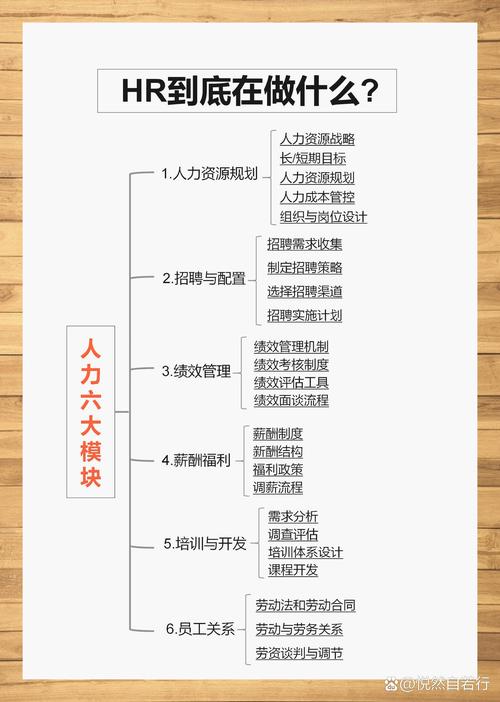 人力行政职业发展目标该如何规划？-第2张图片-指南针培训网