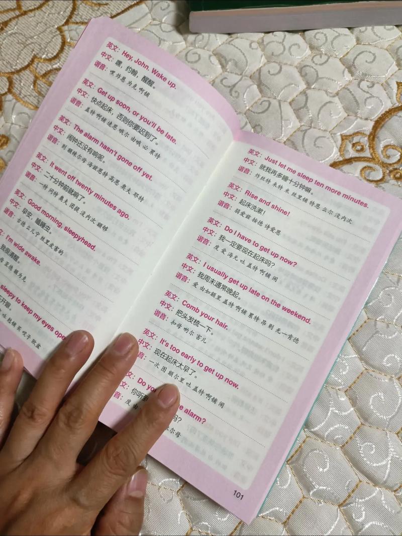 英语口语自学书选哪本更有效？-第2张图片-指南针培训网