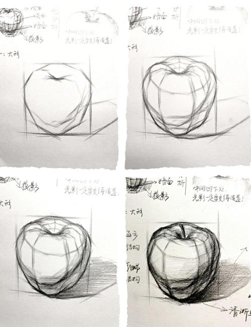 素描免费自学视频教程哪里找？-第1张图片-指南针培训网