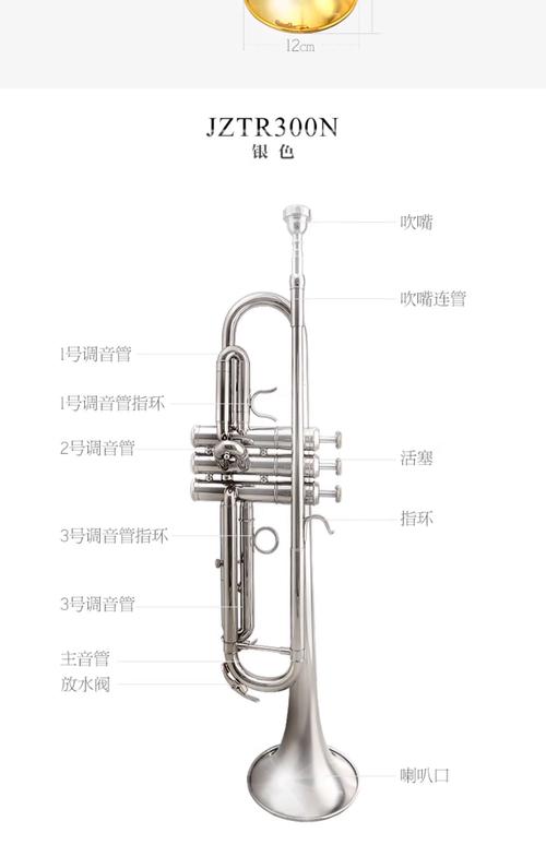 想自学乐器，哪种适合零基础？-第2张图片-指南针培训网