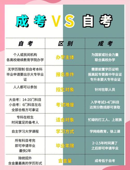 自学和培训，哪种学习方式更有效？-第2张图片-指南针培训网