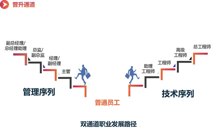 大学生职业发展路径该如何科学设计？-第2张图片-指南针培训网