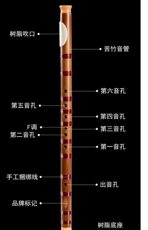 适合自学的乐器有什么-第3张图片-指南针培训网