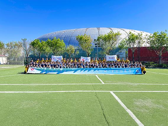 沈阳和平区学前班怎么选？-第3张图片-指南针培训网