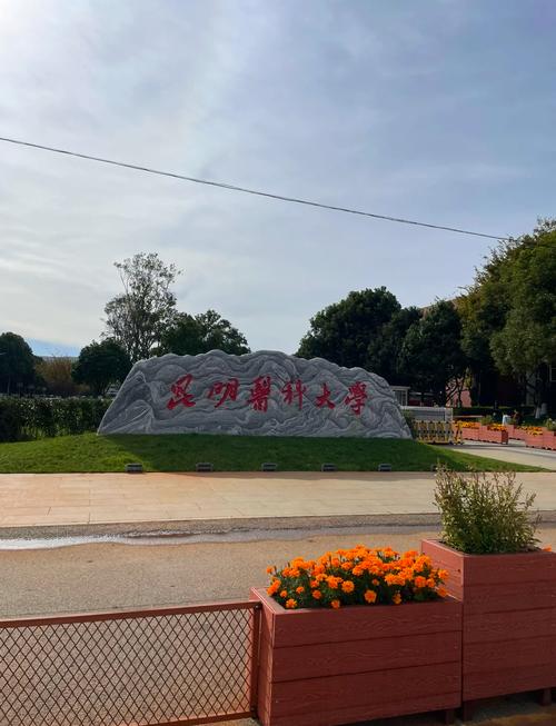 昆明医科大学课程平台如何使用?-第2张图片-指南针培训网 昆明医科大学课程平台如何使用?-第2张图片-指南针培训网