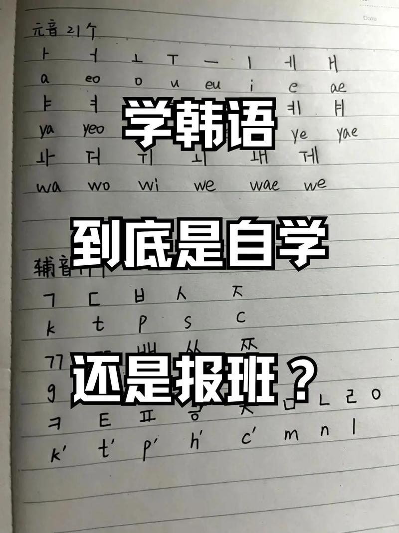 韩语入门自学视频哪里免费找？-第3张图片-指南针培训网