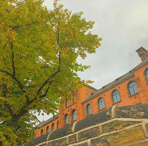 市场营销专业课程学什么？-第3张图片-指南针培训网