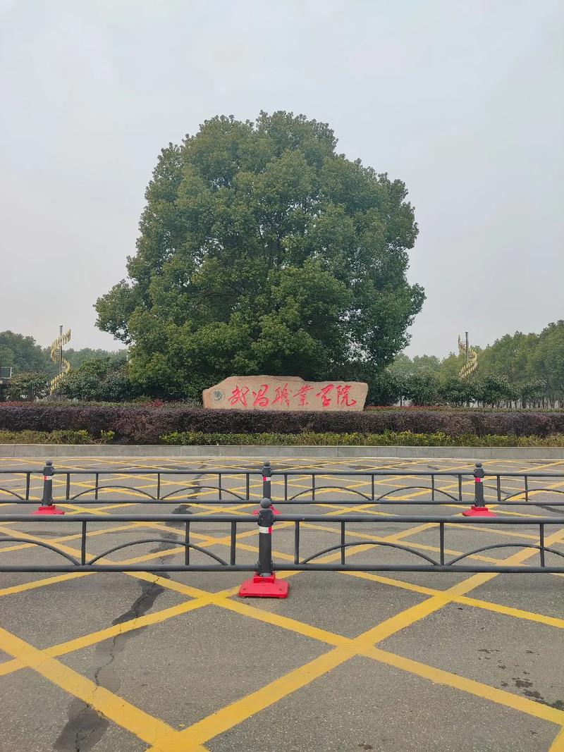 武昌职业学院学前教育怎么样？-第3张图片-指南针培训网