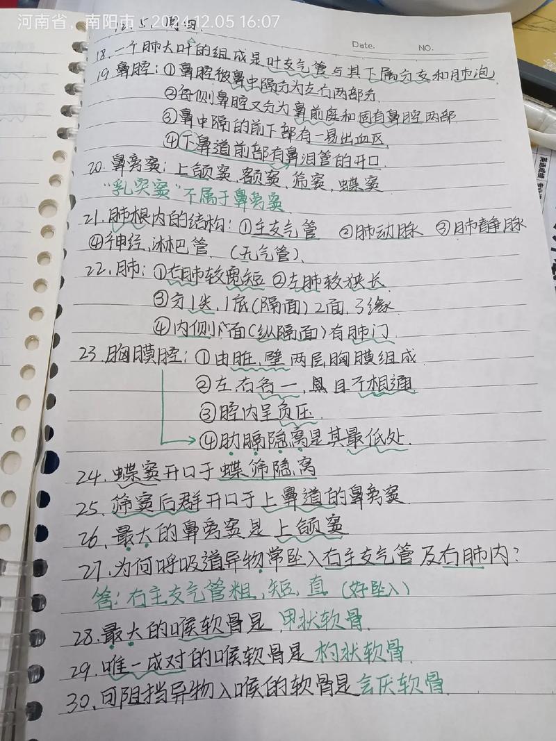组织和胚胎学自学习题如何高效学习？-第1张图片-指南针培训网
