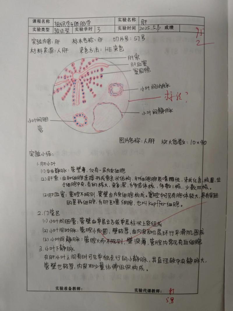 组织和胚胎学自学习题如何高效学习？-第2张图片-指南针培训网