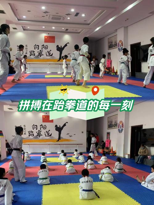 跆拳道自学视频能学会吗?-第2张图片-指南针培训网 跆拳道自学视频能学会吗?-第2张图片-指南针培训网